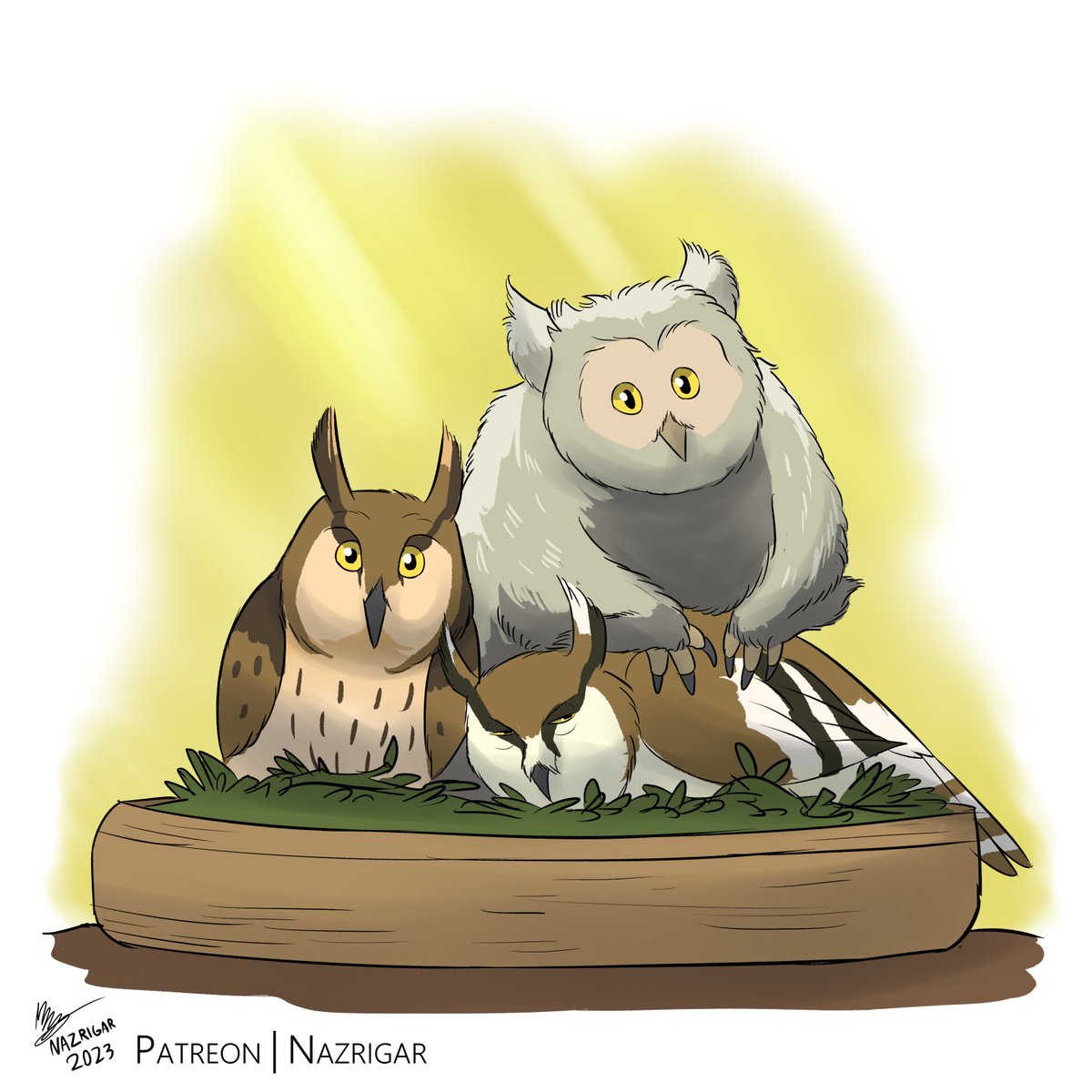 My last Beast Fables entry of the year! Some domesticated owls, descended from the Long Eared Owl, shows off to their human their baby, who just has transformed for the griffon for the first time. #creaturedesign #worldbuilding #fantasyworldbuilding