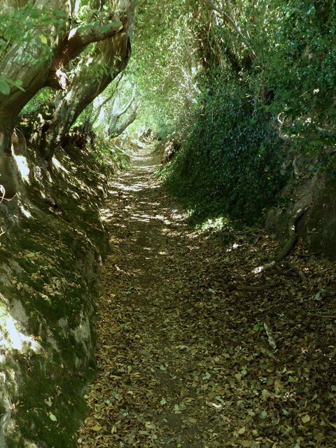 Holloway, Wadhurst Lane, Battle, East Sussex, England. This old byway gives some idea of how old country lanes looked in the pre-motor car age. A type of sunken lane or road that has been created over time through erosion by traffic and weather conditions. Image by, Simon Carey