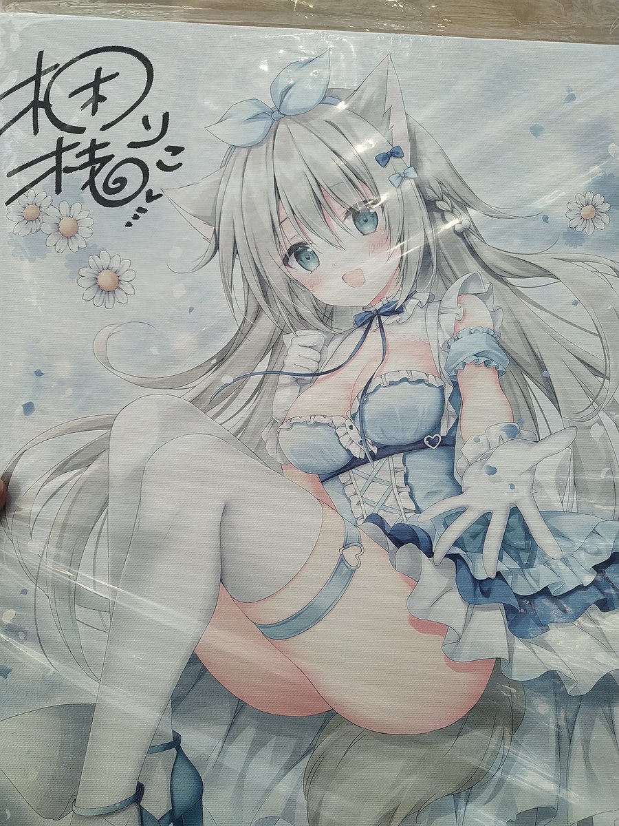 マクラ tweet media