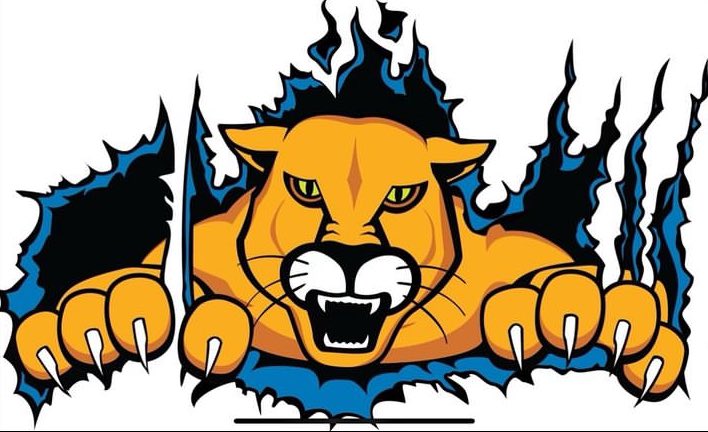 Kaedon Porter “Kd” tweet media