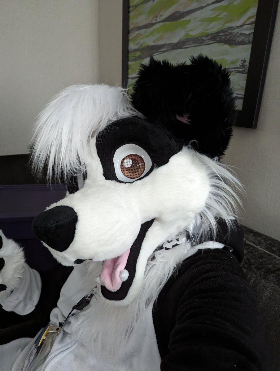 I'm at NYFB Delaware. Can't wait to bring in the new year With you! #FursuitEveryday #fursuiter