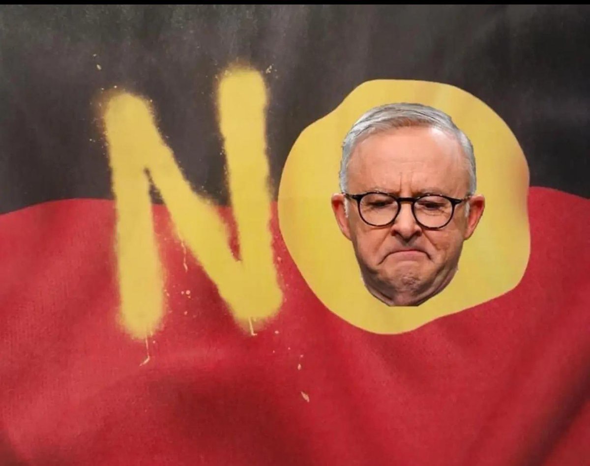 LT_Aust's tweet image. Albo tried to change our Constitution, he lied when he said it was just a modest request &amp;amp; the majority of the people VOTED NO.

So let’s all do it one more time &amp;amp; Vote NO for Albo.

#Auspol 👉 #AlboMustGo