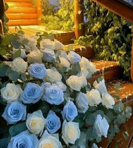 *الحب الحقيقى ان تأنس الروح روحا تشبهها تتقبلها بنقاء القلب وتتقاسم معها حلوها ومرها وتخفف عنها صعابها واحزانها ، شخص يكون اقرب إليك من نفسك ..👌🏻🖤

صباح الورد.... 🖤