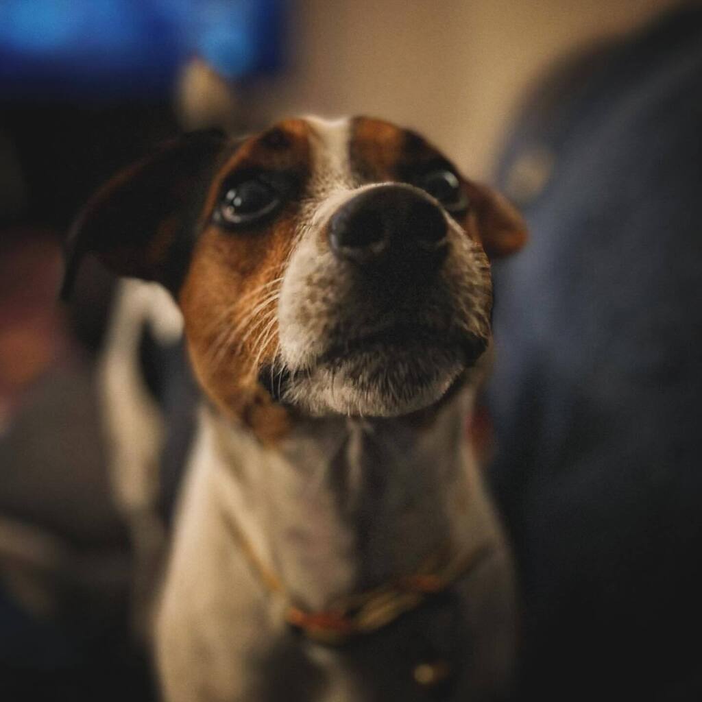 instagr.am/p/C1gIVsUuZES/