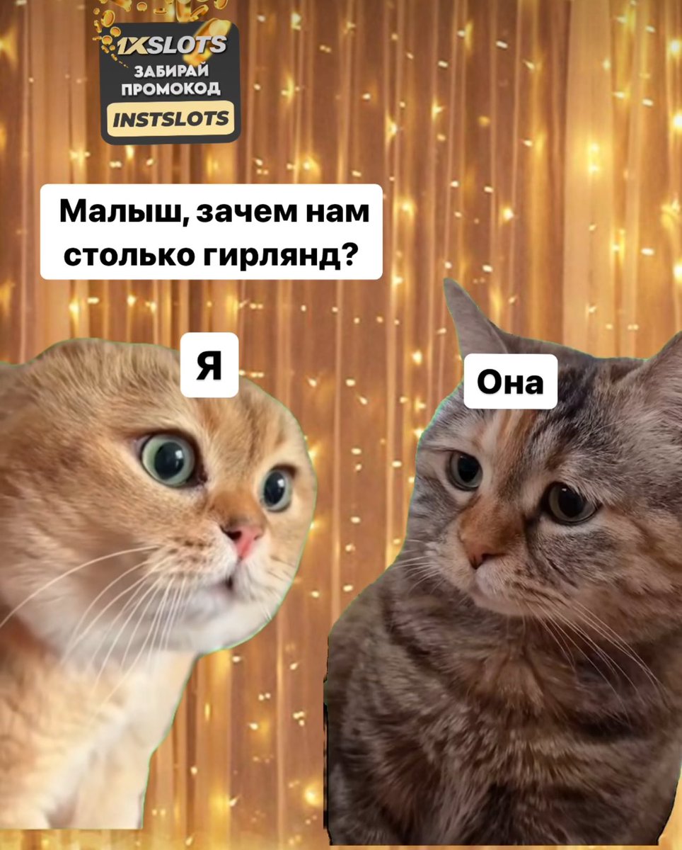 Мне даже плевать о чем они, но я обожаю эти мемы