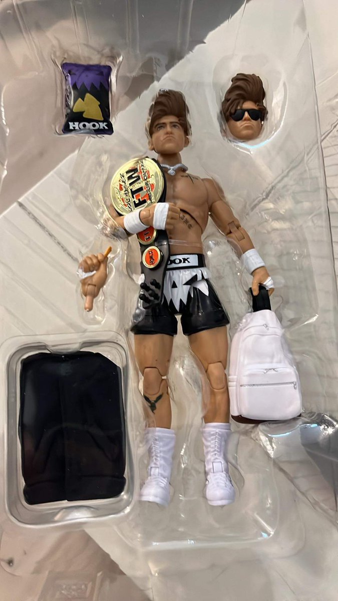 @RingsideC @AEW @PlatinumMax @Bowens_Official @RealBillyGunn @AEWbyJazwares @Jazwares @AEWonTV The Hook with chips!