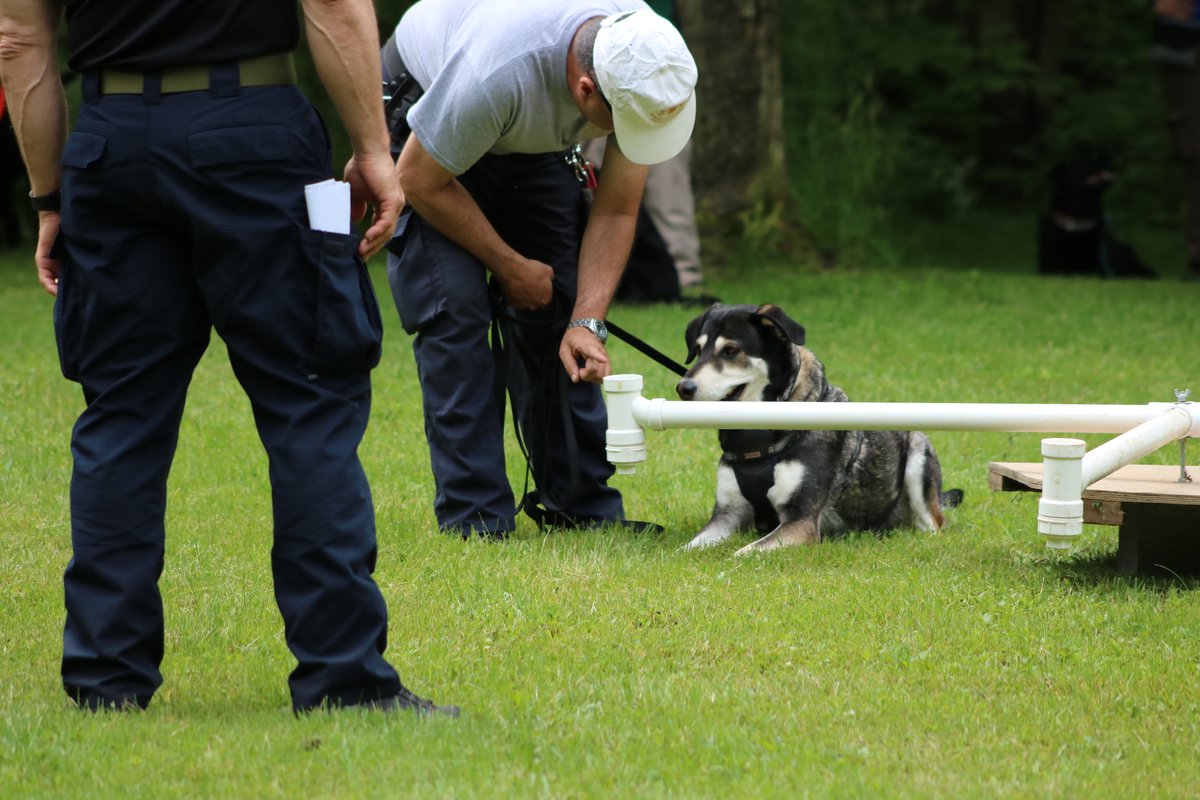 ATT_SAR's tweet photo. 17-19 May 2024 will be another great training Seminar. Mark it on your calendar.
Both private and emergency services are invited with guest lecturers with years of experience attending.
Registration is in the first week of January.
#SAR #canine #HRD https://t.co/hDM5WBQcTY