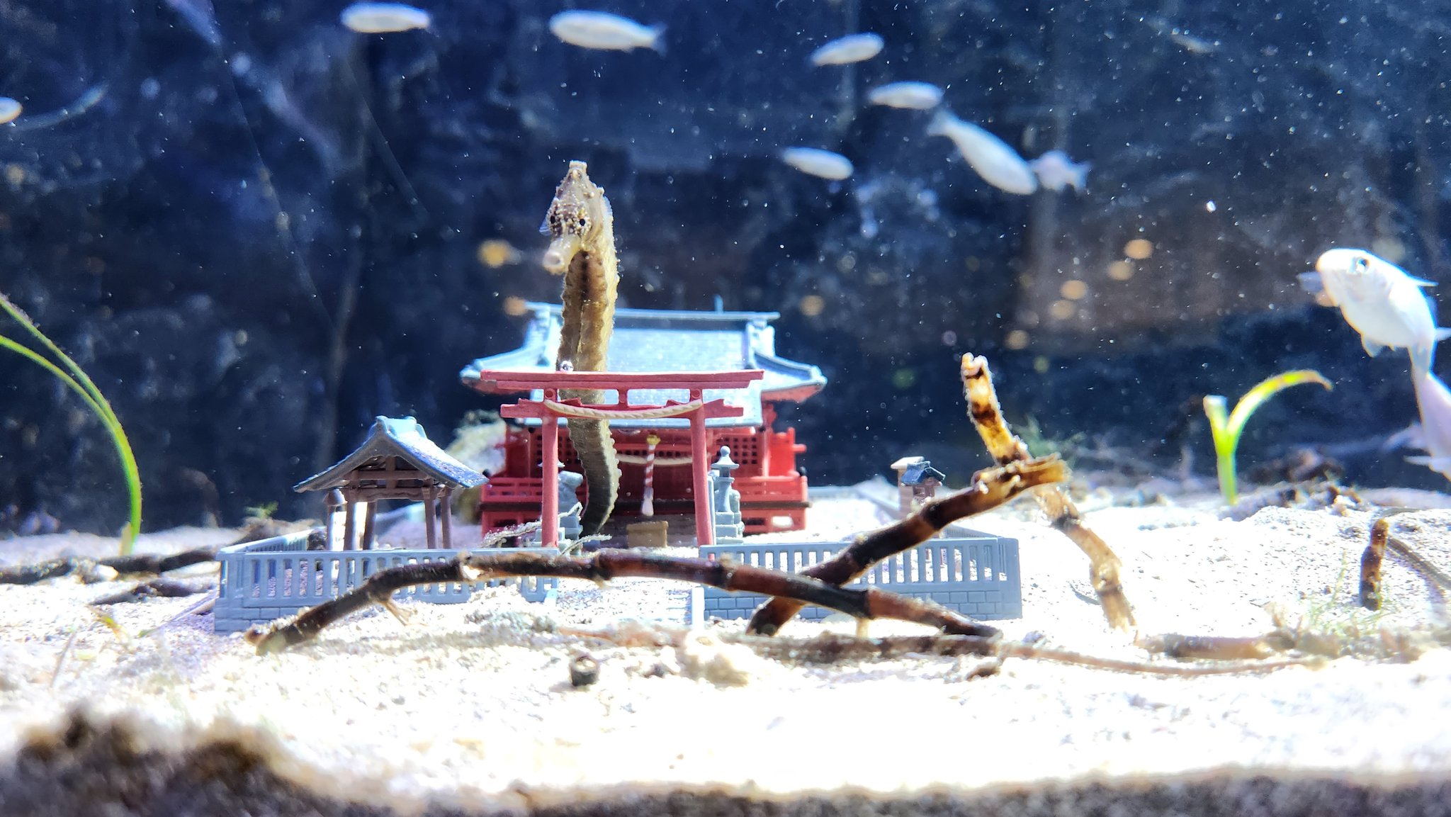 香炉 メノウ 桃とコウモリ 2023-12．金森映井智 象嵌鋳銅 丸香炉 - 高岡銅器展示館