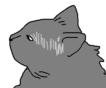 S0L0SIS's tweet photo. i love when black cats have bald spots on their head  you can only see at a specific angle https://t.co/NweYKGofHq