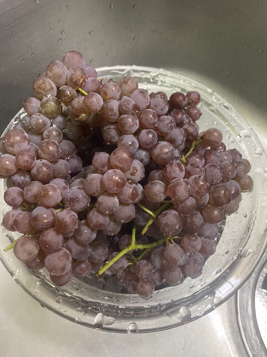 pomyun625's tweet photo. 今年も色々頂きました( ¨̮  )
いつも季節の果物を
たくさん頂くので
食べきれないものはジャムにして
保存してます(*´ω｀*)

昨日が仕事納めで
明日からまた出勤ですw
来年もよろしくお願いします！ https://t.co/C35DcVfZDB