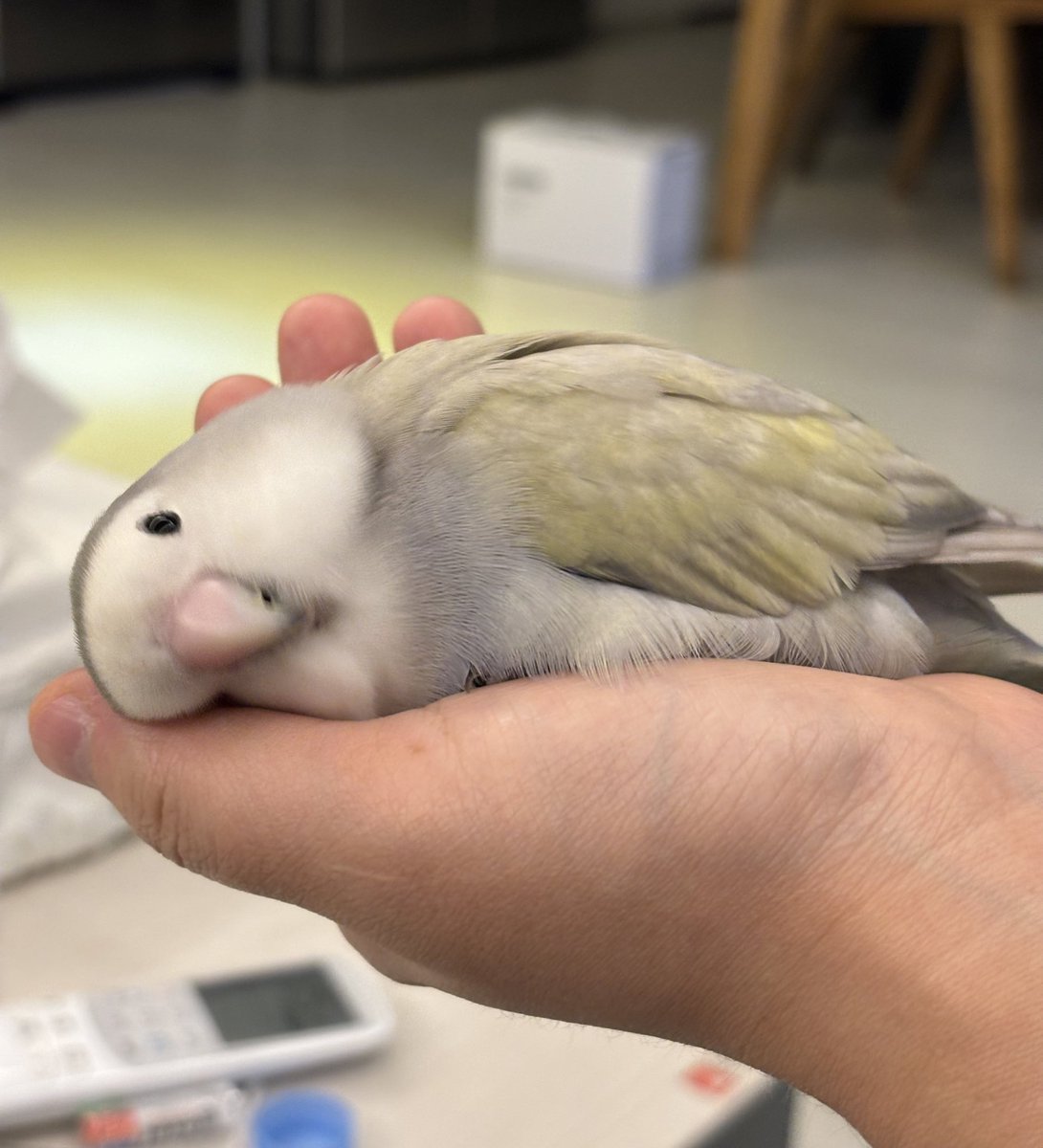 믿을수 없다 이런 날이 오다니 🥺🥺🥺🥺🥺