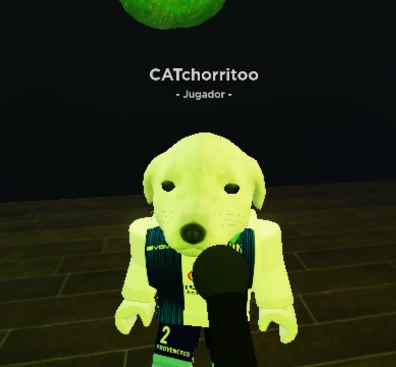 Sin ustedes esto no sería posible 💙💙

Sin palabras simplemente gracias

Foto de cuando subí a recibir el premio👇🏻