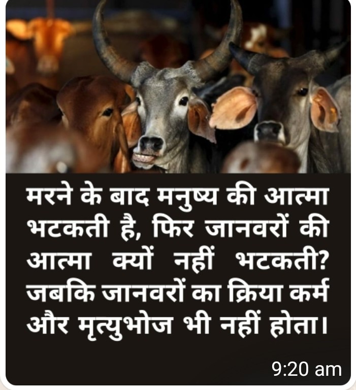 स्वर्ग-नरक के नाम पर डरकर और अपने पूर्वजों के नाम पर अपनी मेहनत की कमाई लुटाना बंद करो। स्वर्ग-नरक की नहीं अपनी शिक्षा,नौकरी,रोजगार,आरक्षण,भागीदारी, बराबरी,हक-अधिकार, संविधान की चिंता करो। धर्म के नाम पर बेवकूफ बनाकर दूसरों की कमाई लूटकर ऐश करने वालों के लिए यही स्वर्ग है?