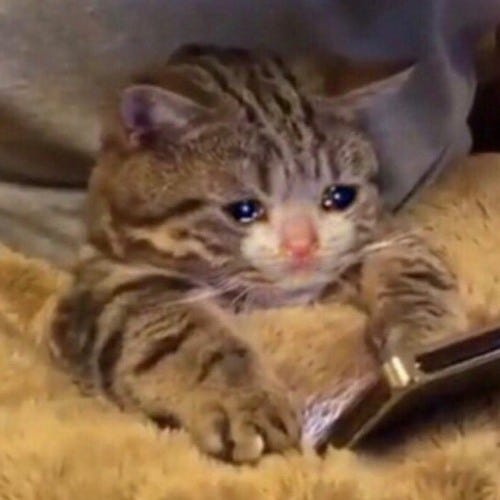 kk_arting's tweet image. "One of Johnny Cage's victory animations features him posing an action figure of himself. The figure has Cassie's name drawn underneath its right foot."

IM CRYING she loves him so much....