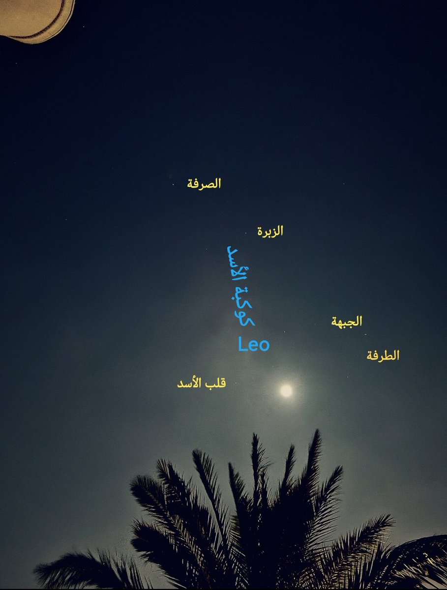 مشهد #فلكي جميل من سماء الأفق الغربي #القمر #Moon في #كوكبة_الأسد #Leo مقترناً مع نجم #قلب_الأسد #Regulus فجر يوم #الأحد ٣١ #ديسمبر ٢٠٢٣م