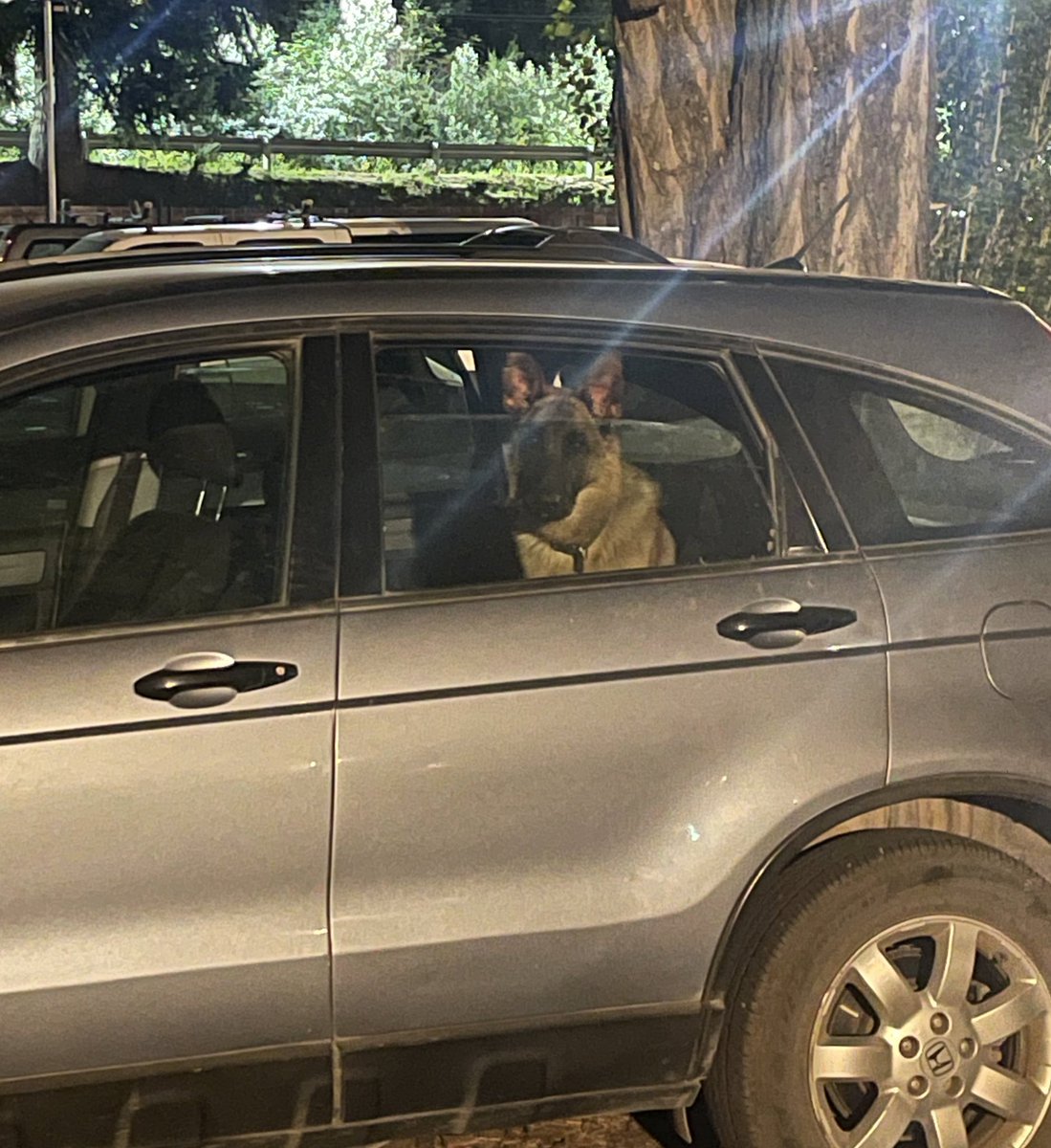 audreypriet1's tweet photo. Una persona muy hija de puta dejó a su perro en el auto para bajarse a una fiesta en Cirse, Bariloche. Patente HES 991, forrx! https://t.co/mP54qpSnEQ