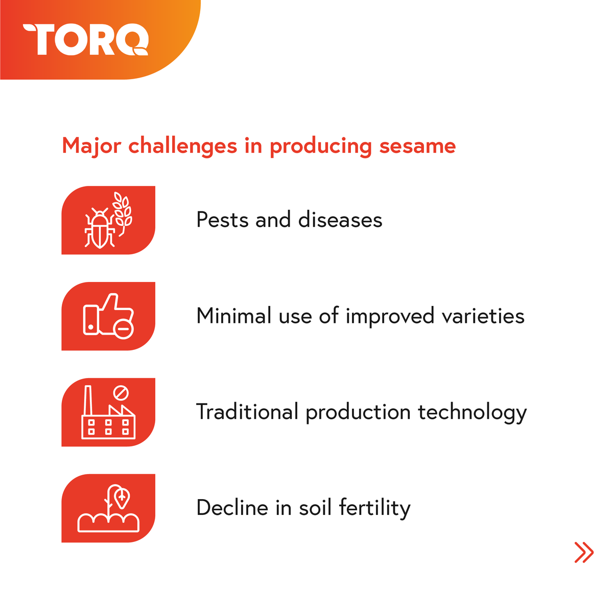 CommoditiesTorq's tweet photo. Wrapping up our #CommodityInFocus series on sesame seeds! Explore the challenges in sesame production and glimpse into the future of the sesame market with our illustrations below.
#Sesame #Agribusiness #TorqCommodities #agriculture #challenges
https://t.co/XBJ5odFYqL https://t.co/FGA9xfvi3T
