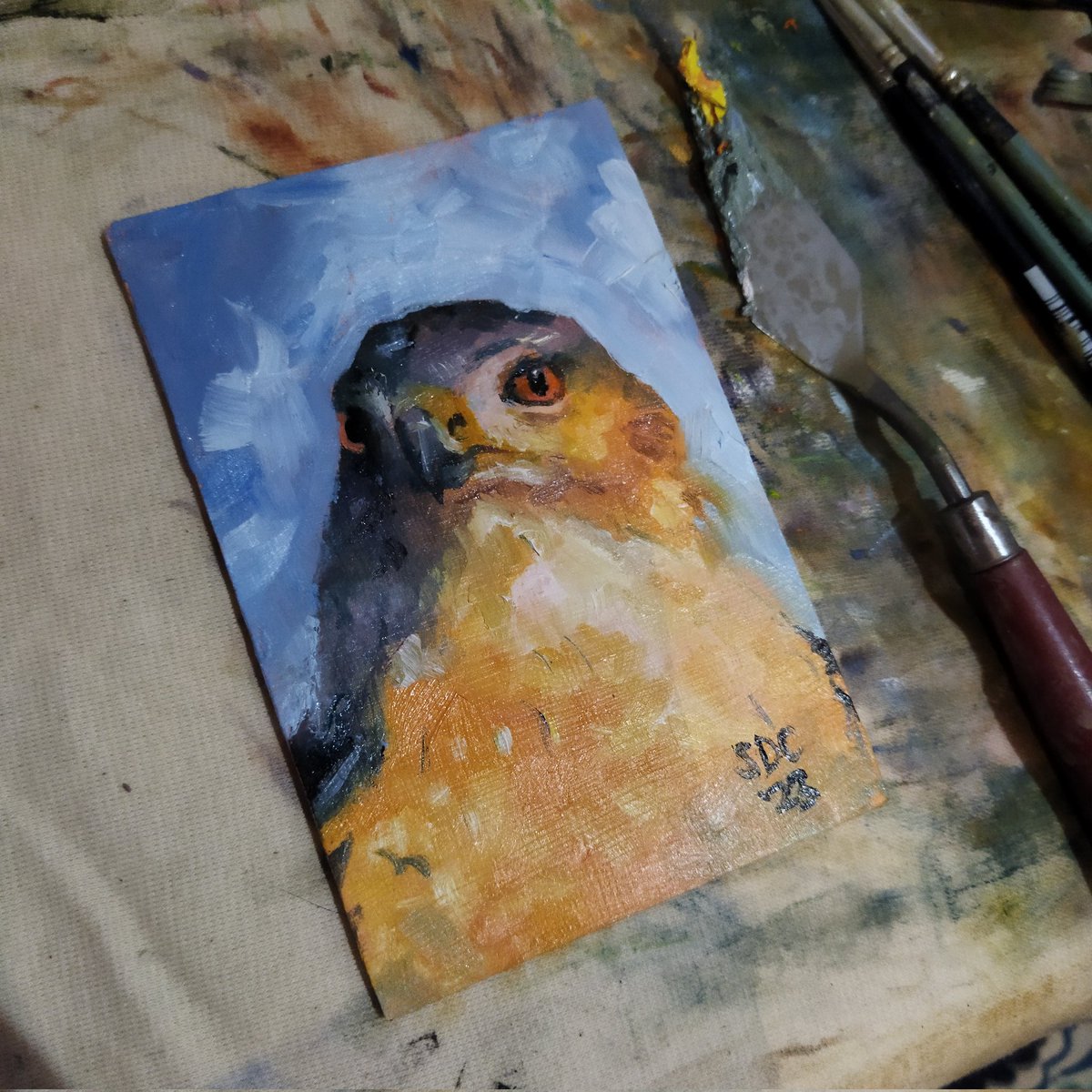 TheDaysIdeas's tweet photo. Good morning! Last painting of 2023 ❤️
#art #ArtistOnTwitter #artist #wildlifeart https://t.co/WWhpzoF8WA