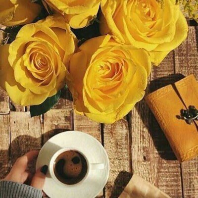 كلمات لطيفة في وقت عشوائي .. ابتسامة في طريق مزدحم .. دعوة في ظهر الغيب ..
كلها أشياء لاتكلف شيئاً، لكنها تخلق سعادة عظيمة في القلب"

#صباحكم_سعادة