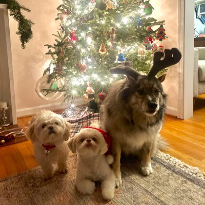 Friebs's tweet photo. #NewProfilePic https://t.co/mxqypmHWli