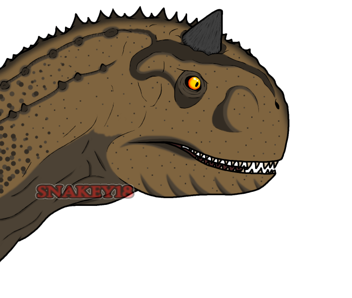 Snakey181's tweet photo. @HeavenlyTape Hello there! My name is Snakey and I draw a little bit of everything, I guess. @ToostyToost is my best friend! https://t.co/tdQp5zMDbO
