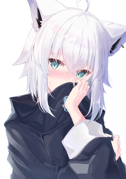 フブちゃん沢山描きました #2023年自分が選ぶ今年の4枚