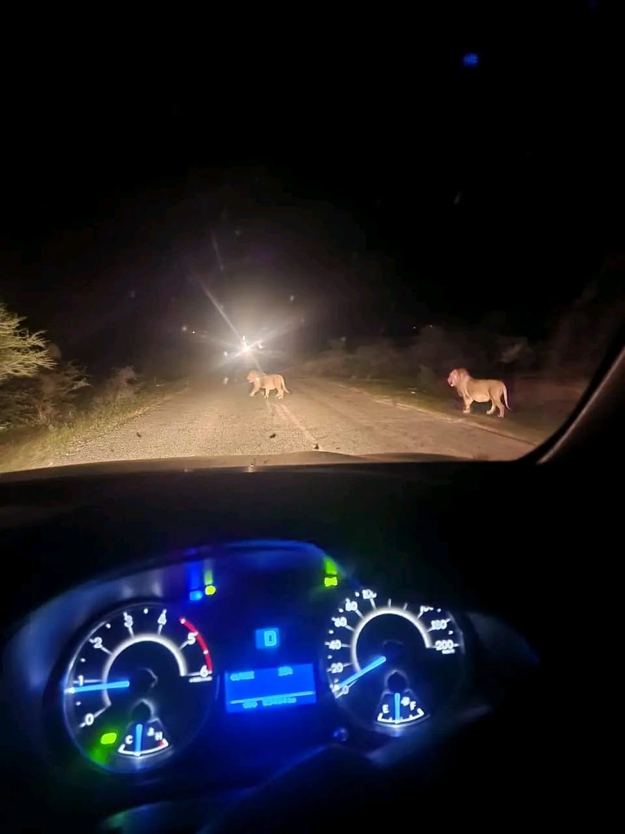 Limpopo - Phalaborwa:  Selwane Road area last night