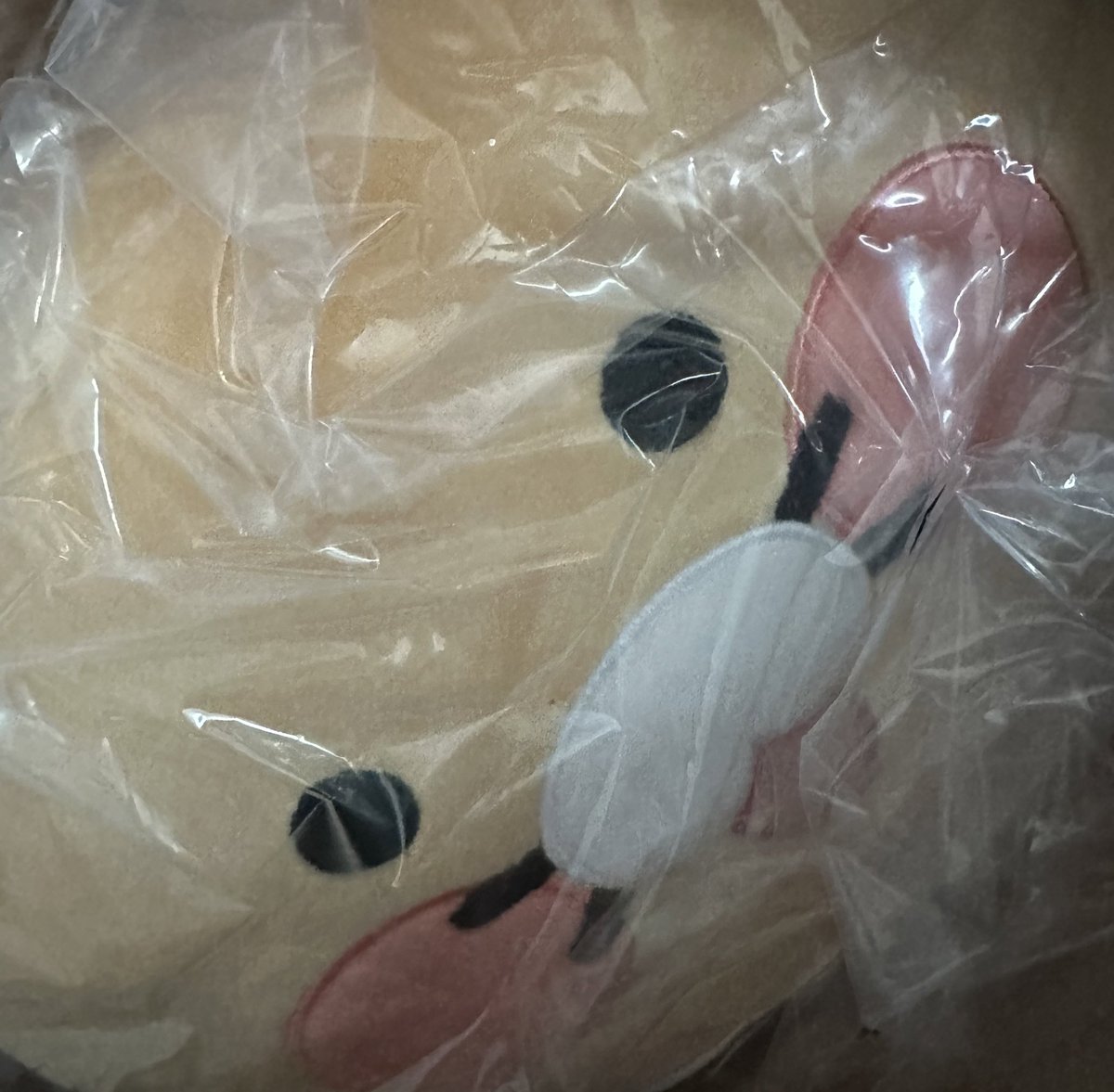 k_ur0__'s tweet photo. @Lottie_Scott_  로티! 인형 잘 받았어. 엄청 푹신푹신 하고 귀여워서 침대에 두려고 (싱긋.) 고마워 로티 https://t.co/Bf5i78Tyk8