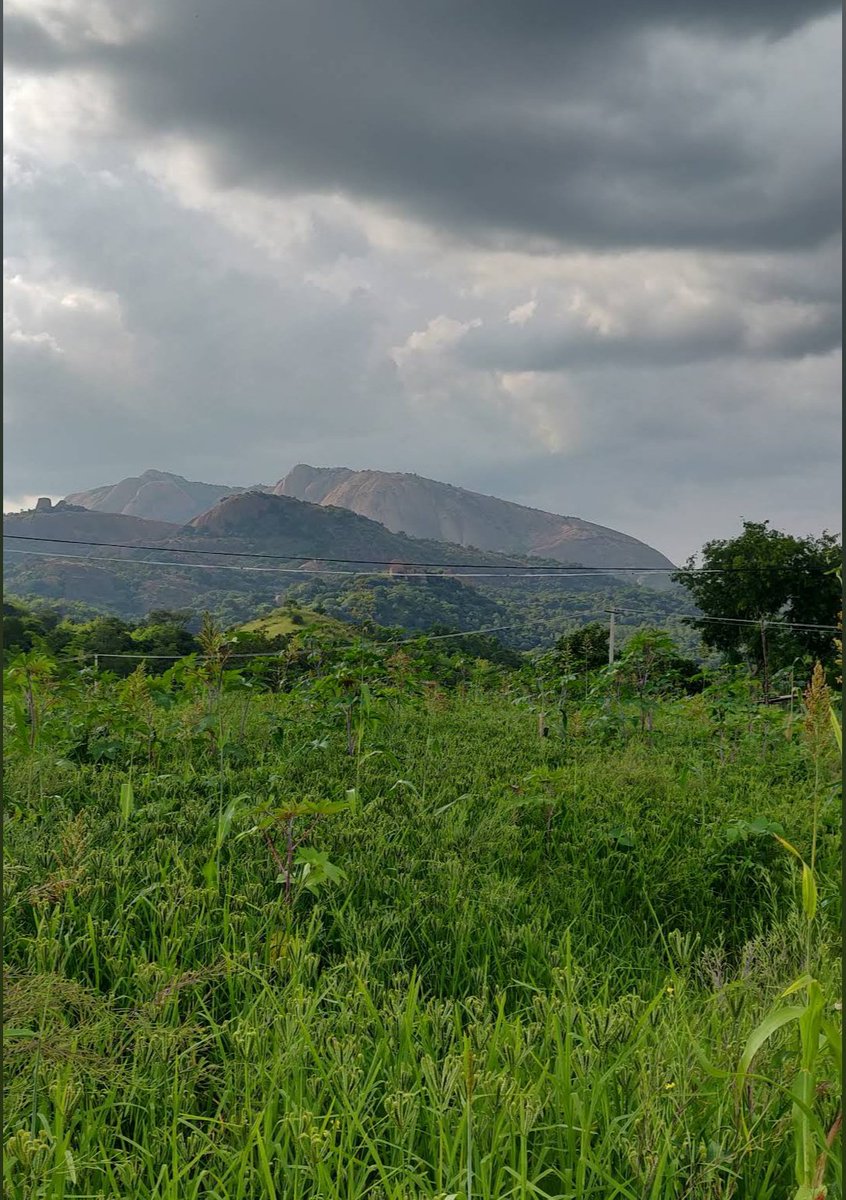 vokkaliga_gowda's tweet photo. ದಬ್ಬಗುಳಿ ಹಳ್ಳಿ #Magadi TQ
#Ramanagara ಜಿಲ್ಲೆ.
Caste wise Survey 2011 Census
ಗೌಡ್ರು - 520
ಸವಿತಾ ಸಮಾಜ - 20
ಕುಂಬಾರ - 10
ಒಟ್ಟು - 552
ಈ ಗ್ರಾಮವು #Savanadurga ಬೆಟ್ಟಗಳು & #Manchanabele ಜಲಾಶಯದ ನಡುವೆ ಇರುವುದರಿಂದ ಅತ್ಯಂತ ಸುಂದರವಾದ ಪರಿಸರದಿಂದ ಆವೃತವಾಗಿದೆ.
#Dabbaguli #Gowda #Vokkaliga #Kannada https://t.co/DwpVqcgyEZ