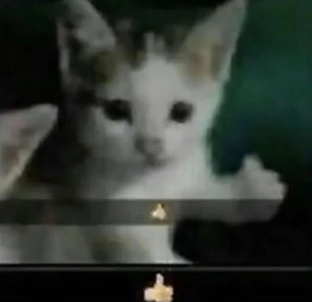 artsch00lreject tweet media