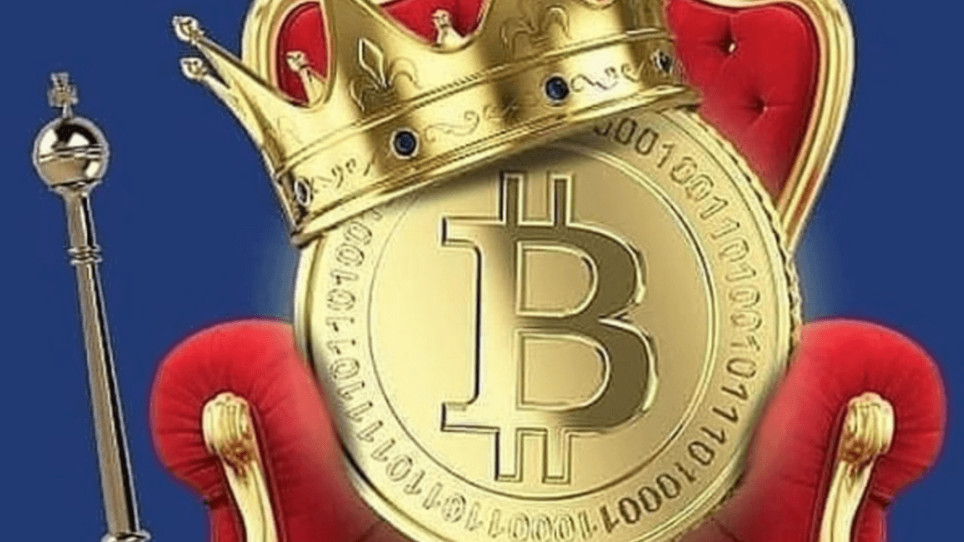 Bitcoin Traders Club tweet media