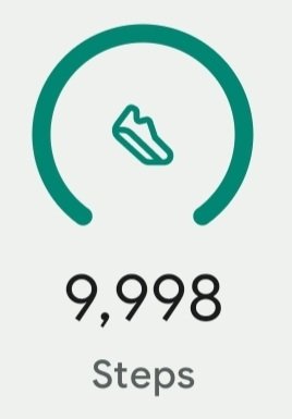 Ark 🥟 tweet media