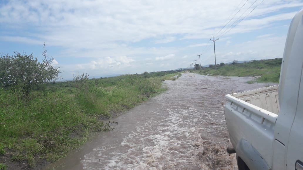 PhotosForTrees's tweet image. Vagaries of #Kajiado weather

#kajiadocounty #konza #lenkesim