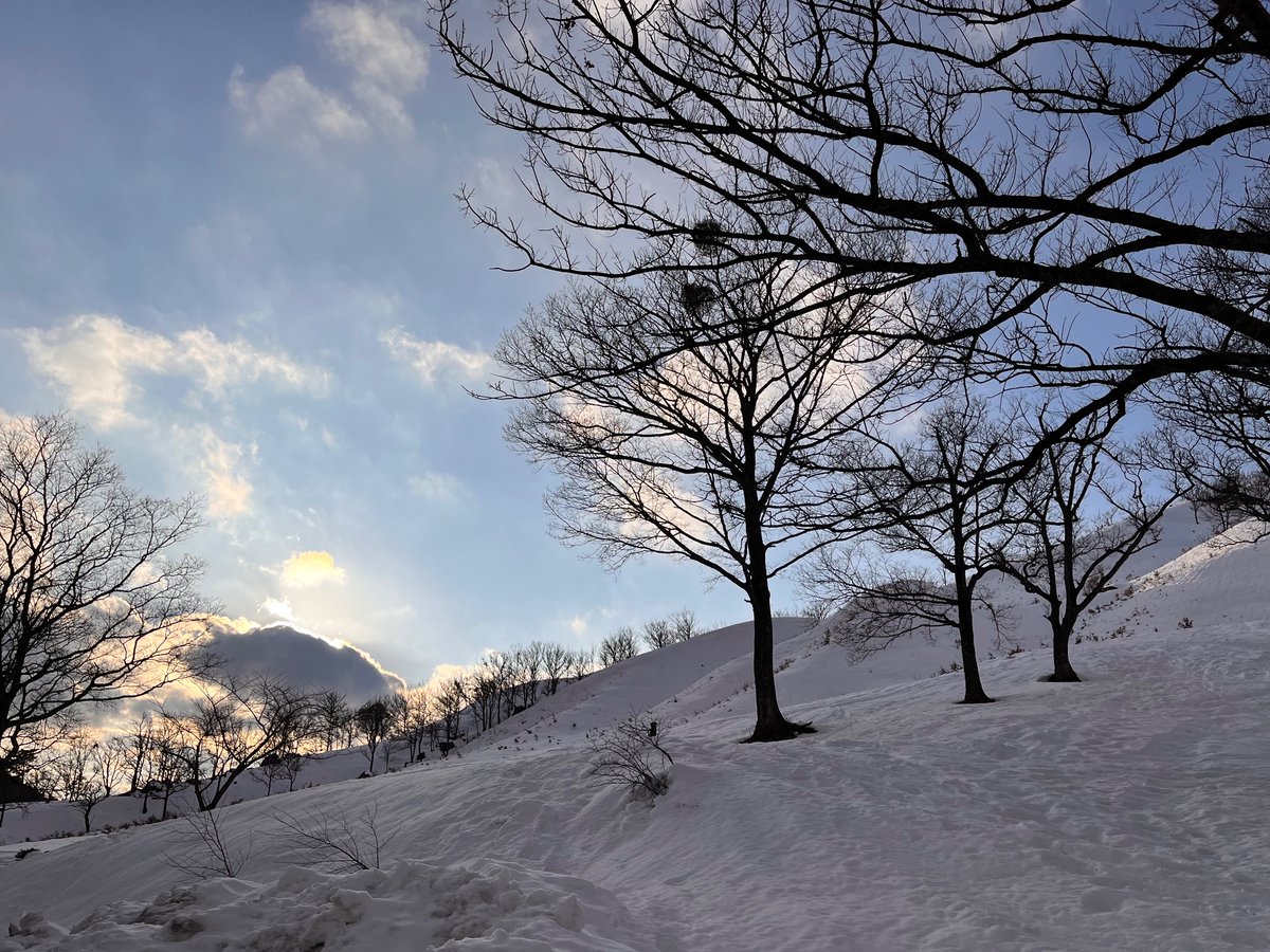 goggle55w's tweet photo. 深入山の雪景色最高やな https://t.co/uywfjXuLra