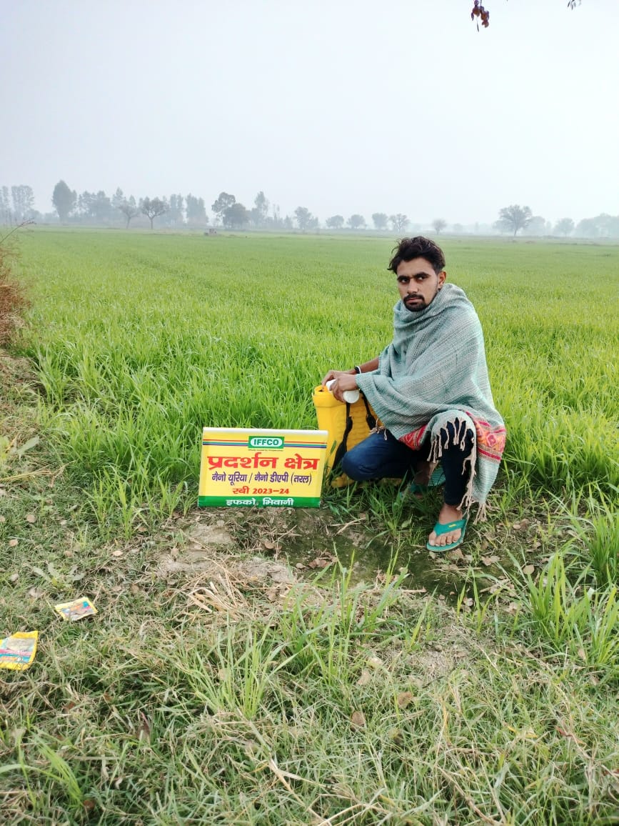 IFFCO_HR's tweet photo. ग्राम जयश्री,जिला चरखी दादरी के किसान श्री सन्दीप जी के गेहूँ (प्रकार- DBW303) के फसल पर नैनो यूरिया+नैनो डीएपी+सागरिका के स्प्रे @kkrana1965 द्वारा करवाया गया @iffcoyogendra @SagwalShamsher @IFFCO_PR @fertmin_india @padamsingpatil @AgriGoI @RajneeshPandey5 @TarunenduSingh https://t.co/JFndFKAZpR