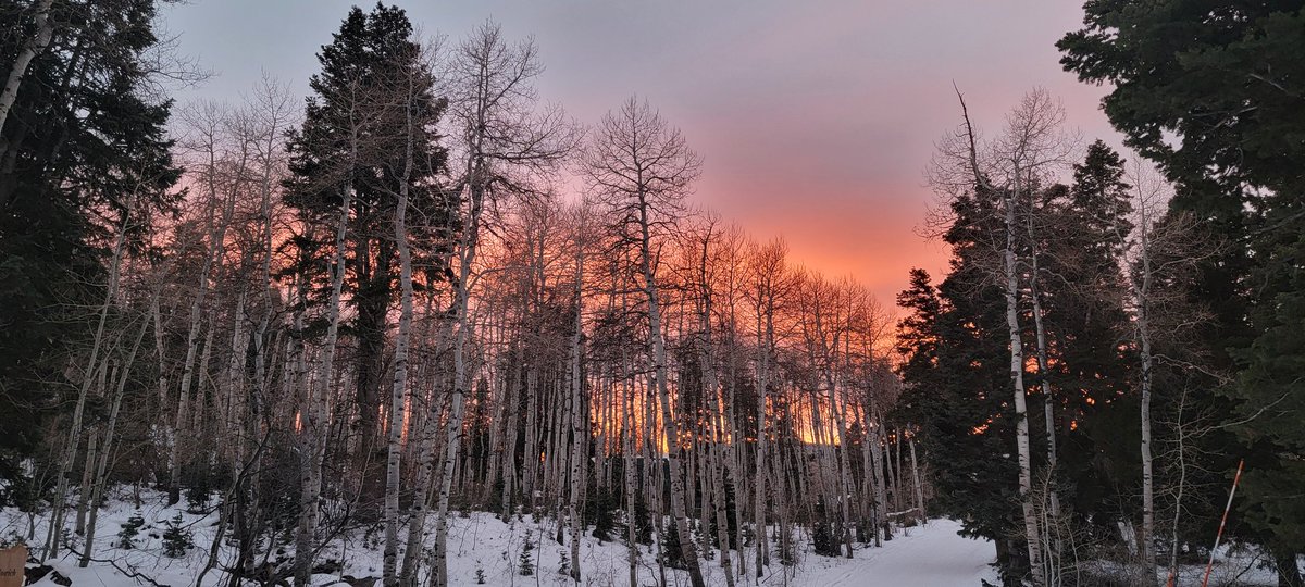 Beautiful sunset in the Northern Utah mountains tonight.