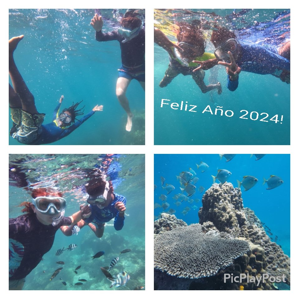 Leticia Cariño tweet media