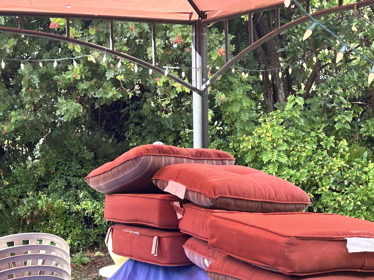 Joseph and His Amazing Technicolor Dreamcoat tweet media