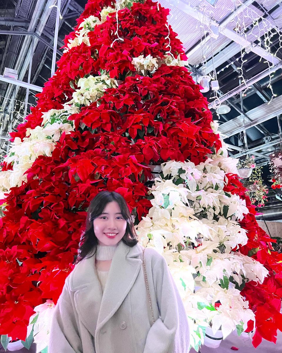 sun__saki's tweet photo. こんばんは🌛
2023年もあと数時間で終わり…🥺
今年もなばなの里に行けました‼️
皆さんも良いお年をお過ごしください🍀

#なばなの里  #今年の思い出  #良いお年を https://t.co/YrjgU9BPs9