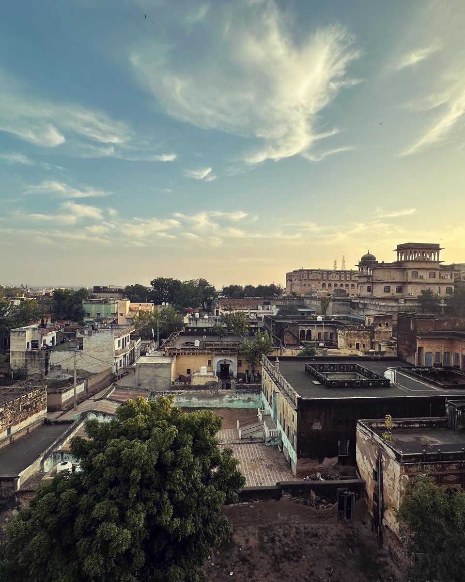 arujsingla's tweet photo. Amazing weened ride to #mandawa @touristInformer @incredibleindia https://t.co/sT963ZtOyN