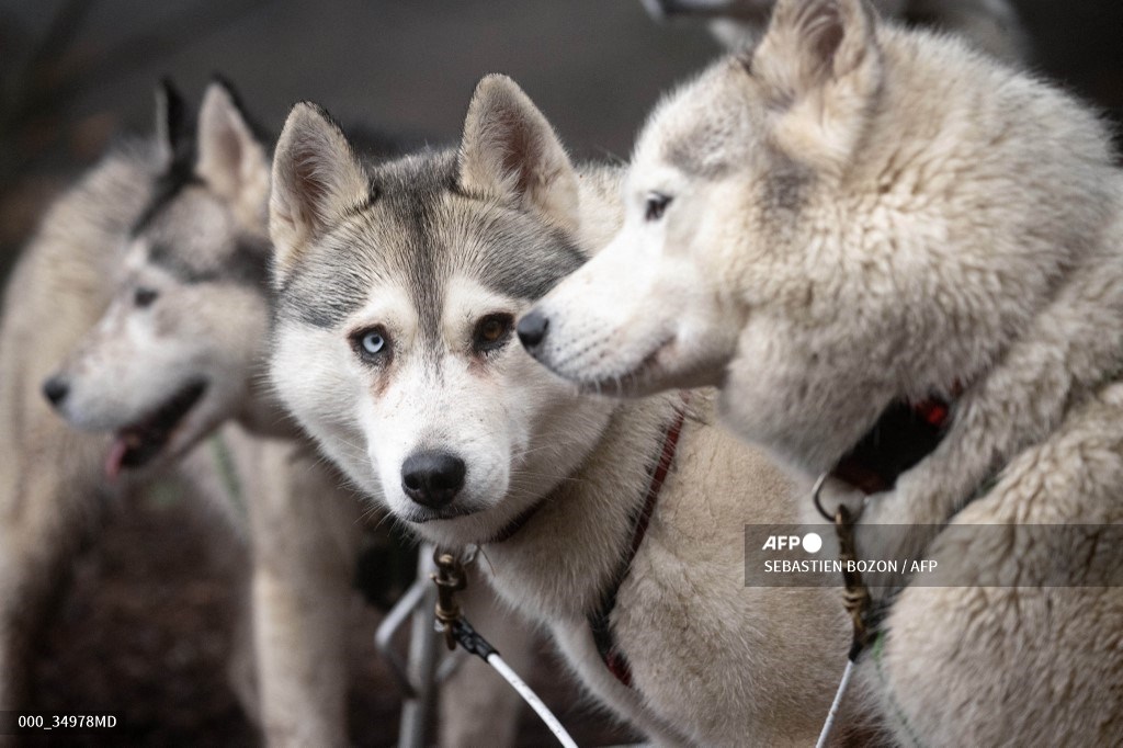 AFP Photo tweet media