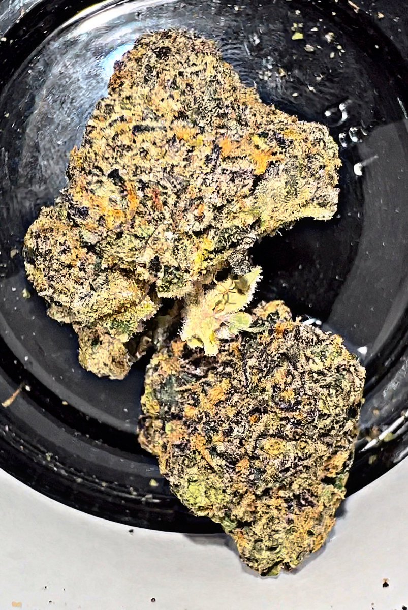 CJWILLDOIT_'s tweet photo. Very nice very nice Biscotti Pancakes Hand selected indoor flower from the homie Jlittys ⛽️‼️😮‍💨 #jlittys #biscottipancakes #faded #bag #indoorflower #cannafam #stonersquad https://t.co/IAJpBrqsXL