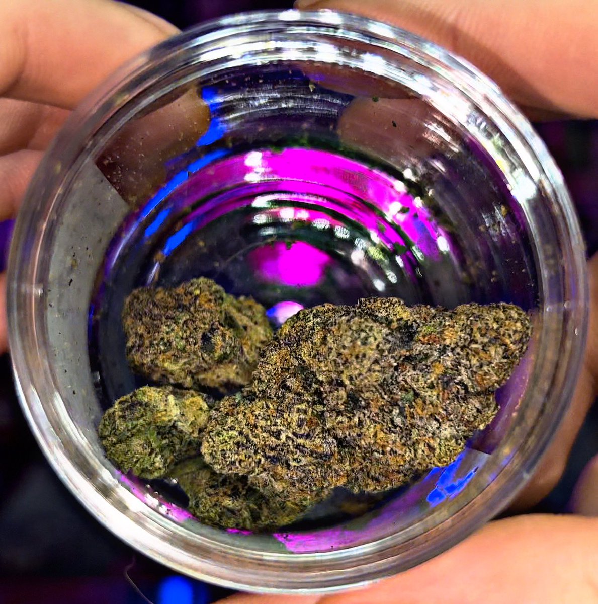 CJWILLDOIT_'s tweet photo. Very nice very nice Biscotti Pancakes Hand selected indoor flower from the homie Jlittys ⛽️‼️😮‍💨 #jlittys #biscottipancakes #faded #bag #indoorflower #cannafam #stonersquad https://t.co/IAJpBrqsXL