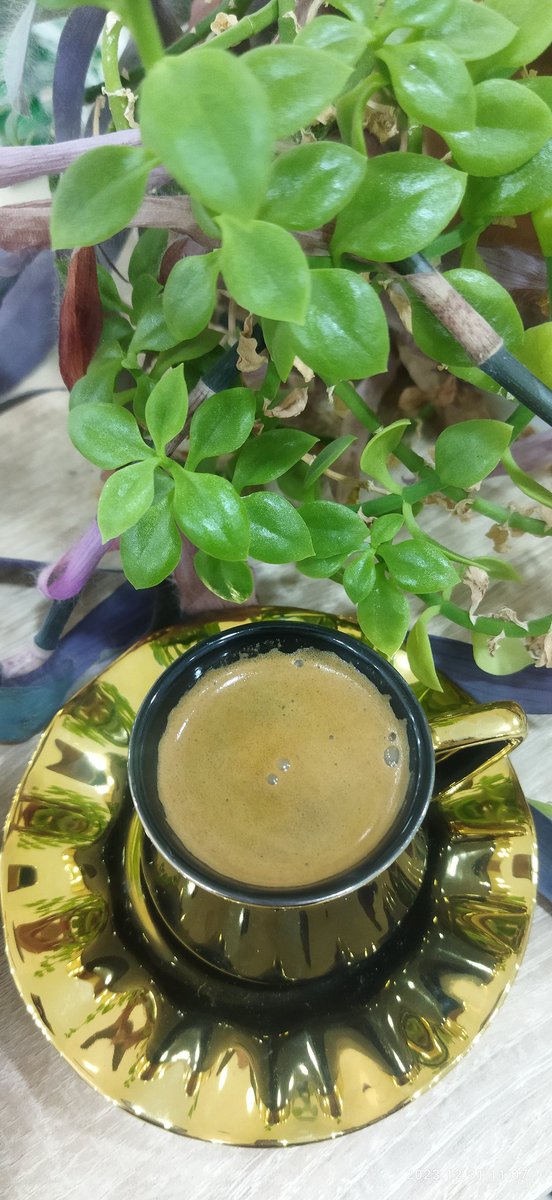 ﴿وَلَمَّا بَلَغَ أَشُدَّهُ وَاسْتَوَىٰ آتَيْنَاهُ حُكْمًا وَعِلْمًا﴾
 
ثمة أمور يجب تنضج قبل أن تحصل عليها،
لأنّك لو أخذتها باكراً، لضيّعتها باكراً،
إنَّ الذي نصر المسلمين في بدر،
كان قادراً على أن ينصرهم في مكة وهم مستضعفون!
ولكنّه أخَّر النصر ليربّيهم أولاً،
لينضجوا، ويعرفوا