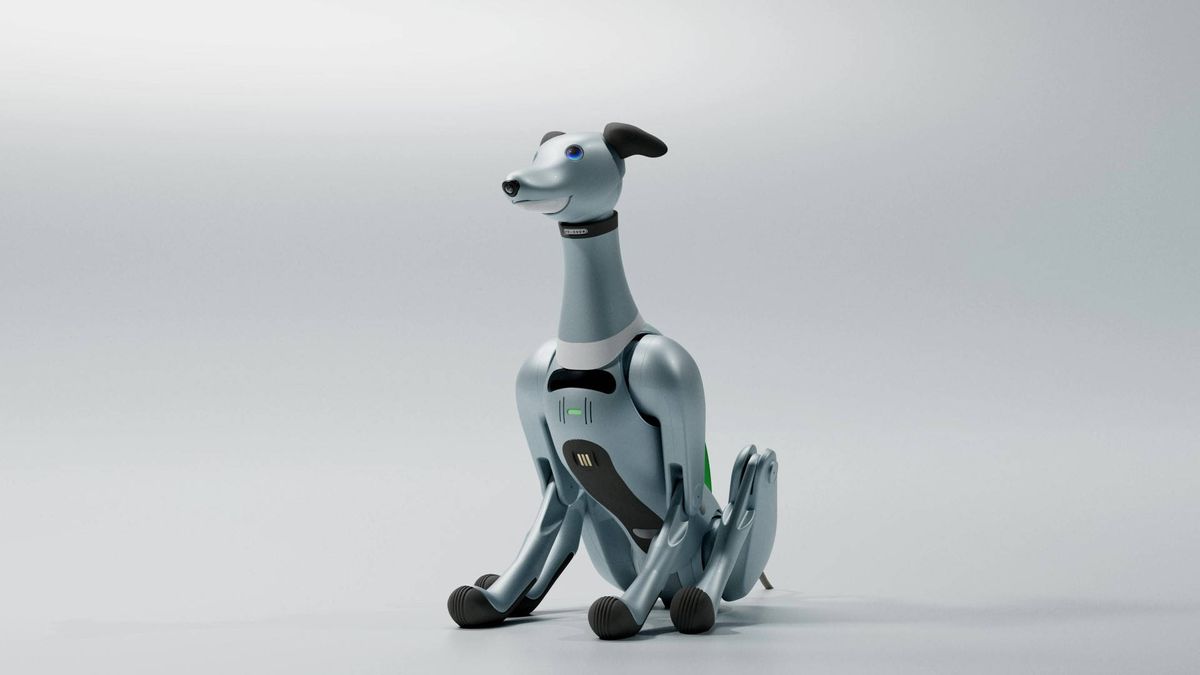 Quirky tech for 2024, from robotic space dogs to extreme speakers trib.al/j7URX32