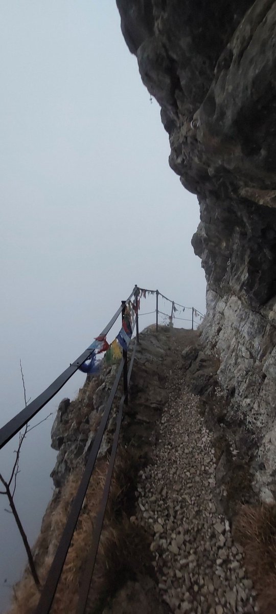 ailgamar's tweet photo. Oggi il panorama perfetto per noi malinconici, romantici, decadenti orsi che amano correre possibilmente in solitari #postibrutti https://t.co/KzNB8mT1S6