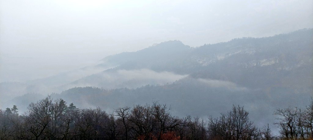ailgamar's tweet photo. Oggi il panorama perfetto per noi malinconici, romantici, decadenti orsi che amano correre possibilmente in solitari #postibrutti https://t.co/KzNB8mT1S6