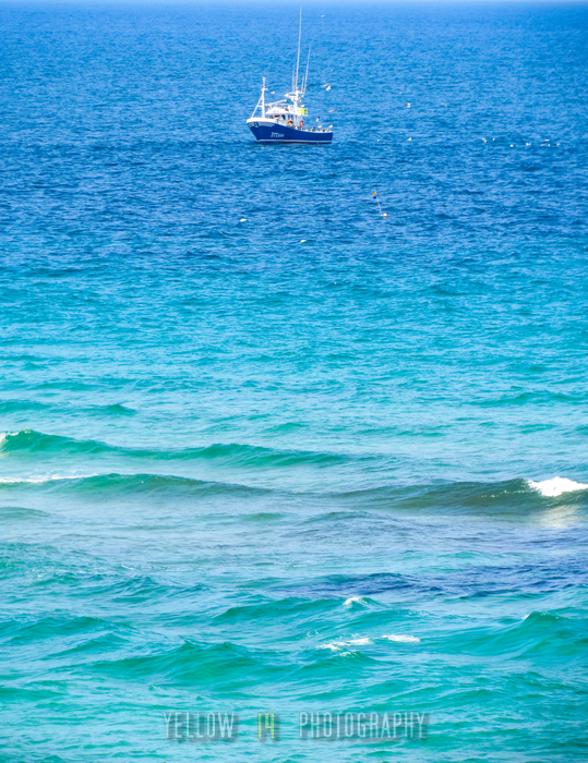 Yellow14Photog1's tweet photo. Fishing boat in a blue sea
More here https://t.co/fiUw8YMMQz
#fishing #fishinglife #fishingboat #trawler #galicia #buquedepesca #visitgalicia #visitspain #landscapephotography #landscape #landscapelovers #travel #travelphotography #bluesea #turquoisesea #azuresea #bluetheme https://t.co/30Xee2ZPdb