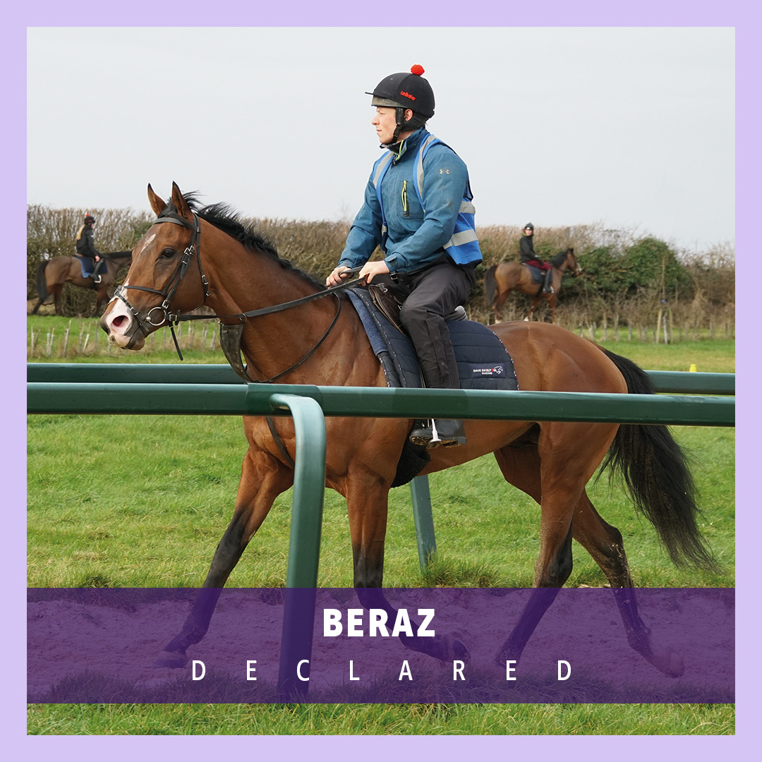 ownersgroupuk's tweet photo. Beraz runs for trainer Julie Camacho and under jockey Ryan Sexton today in the 3.10 at Newcastle. Good luck to all involved! 🤞💜🖤 #OwnersGroup #Beraz https://t.co/ZIRp9qT5Kb