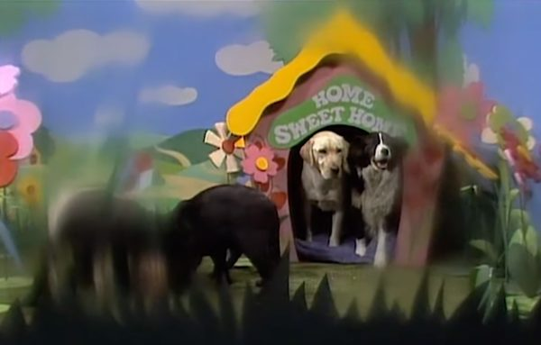 Ed Moore BSC tweet media